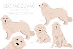 Slovak Cuvac clipart Product Image 1