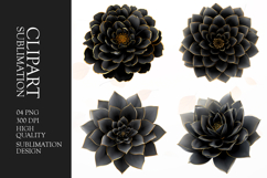 Elegant Black and Gold Floral Clipart Sublimation PNG Product Image 1