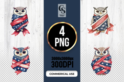 Patriotic Owl Clipart PNG Product Image 1