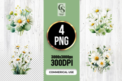 Delicate White Daisy &amp; Eucalyptus Watercolor PNG Product Image 1