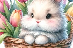 Baby Bunny Product Image 1