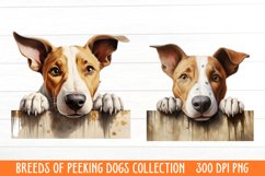 Breeds Of Peeking Dogs Collection Product Image 1