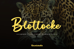 Blottocke a Handwritten Font Product Image 1
