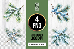 Snowy Pine Branch Clipart Sublimation PNG Product Image 1
