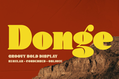 Donge | Display Font Product Image 1