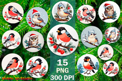 Birds Christmas Sublimation PNG Bundle Product Image 4