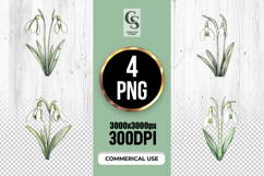 Snowdrop Flower Watercolor Clipart Sublimation PNG Product Image 1