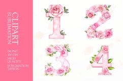 Floral numbers clipart sublimation Product Image 1