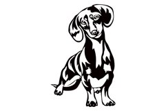 Dachsund dog/Dog Svg/Png/Jpg/Ai/Vector purebred breed/Pet Product Image 2