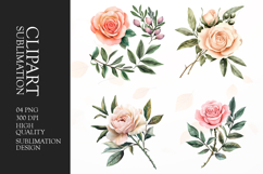 Realistic Rose and Buds Clipart Sublimation PNG Product Image 1