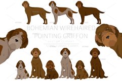 Bohemian Wirehaired Pointing Griffon Product Image 1