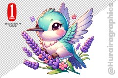 Cute Humming Bird Clipart - PNG File Product Image 1