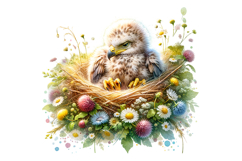 Cute Eagle Clipart - PNG File Product Image 1