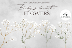 Baby’s Breath Clipart Pack| Floral Watercolor PNG. Product Image 4