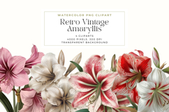 Retro Vintage Amaryllis Clipart Product Image 1