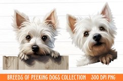 Breeds Of Peeking Dogs Collection Product Image 1