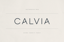 Calvia Minimalist Sans Serif Font Product Image 1