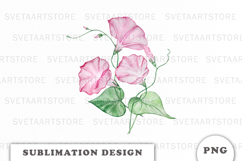 Watercolor Morning Glory Flowers Bouquet png Product Image 1