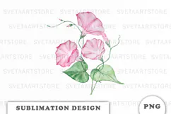 Watercolor Morning Glory Flowers Bouquet png Product Image 1