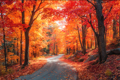 Autumn Forest Road Landscape with Vibrant Fall Colors Product Image 1