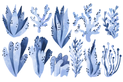 Sea Algae Seaweed Flora. Oceania Plants. Hand Drawn Product Image 1