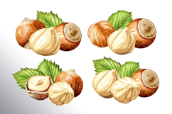 Huzelnuts. Hand drawn watercolor collection Product Image 2