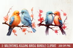 Breeds of Valentine Kissing Birds, Valentine's Day Clipart Product Image 1