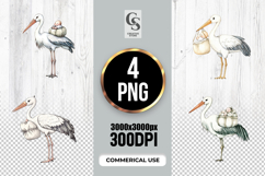 Baby Stork Clipart Sublimation PNG Product Image 1