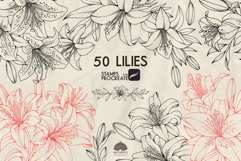 Lily flowers Procreate stamp brushes Product Image 1