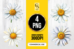 Daisy Flower Clipart Sublimation PNG Product Image 1