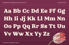 Nolkair - Bold Modern Swashes Retro Serif font Product Image 2