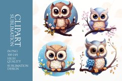 Cute baby owl sublimation clipart png Product Image 1