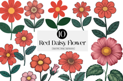 Red Daisy Floral Product Image 1