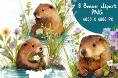 8 Beaver Watercolor Sublimation Bundle Png Transparent Product Image 1
