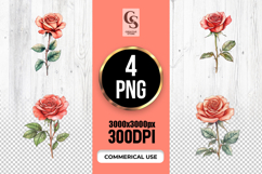 Watercolor Rose Clipart Sublimation PNG Product Image 1