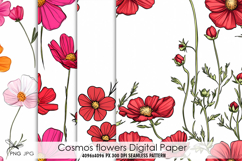 Cosmos flowers digital paper Product Image 1