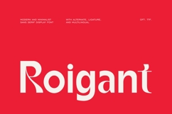 Roigant - Modern Minimal Sans Serif Product Image 1