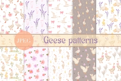 Geese Seamless Paterns, Watercolor Silly Goose Patterns Product Image 1