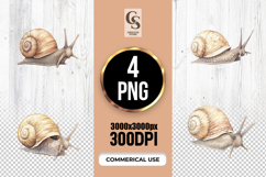 Watercolor Snail Clipart Sublimation PNG Product Image 1