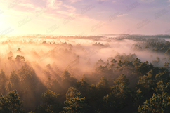 Sunrise Misty Forest Landscape Photography Background Product Image 1