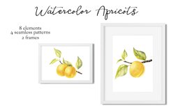 Watercolor Apricots Product Image 2