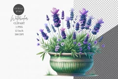 Flowers clipart, Lavenders clipart, Spring clipart, Product Image 1