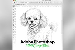 80 Procreate Small Dog Breeds Stamp Brushes Product Image 11