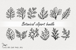 Botanical SVG - 12 Variations Product Image 1