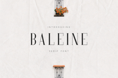 Baleine Elegant Modern Serif Font Product Image 1