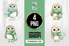Cute Owl Shamrock Clipart Sublimation PNG Product Image 1