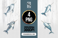 Watercolor Narwhal Illustration Clipart Sublimation PNG Product Image 1