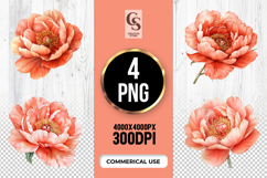Coral Peony Flower Clipart Sublimation PNG Product Image 1