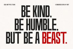 Condura Sans Serif Display Product Image 2