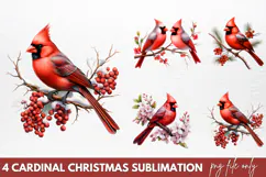 Christmas Cardinal Watercolor Clipart PNG Product Image 1